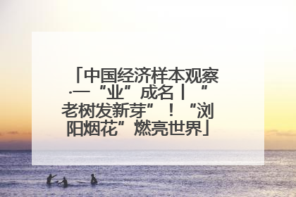 中国经济样本观察·一“业”成名丨“老树发新芽”！“浏阳烟花”燃亮世界