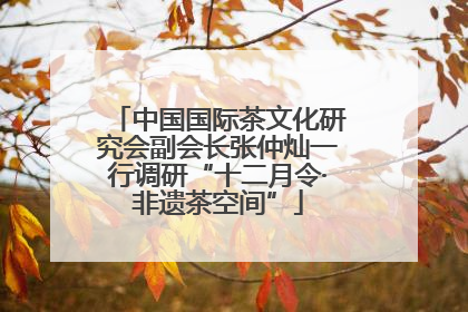 中国国际茶文化研究会副会长张仲灿一行调研“十二月令·非遗茶空间”