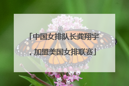 中国女排队长龚翔宇，加盟美国女排联赛