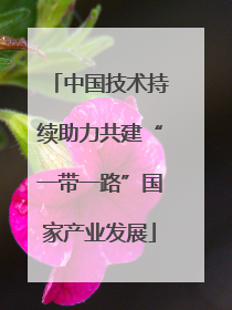 中国技术持续助力共建“一带一路”国家产业发展