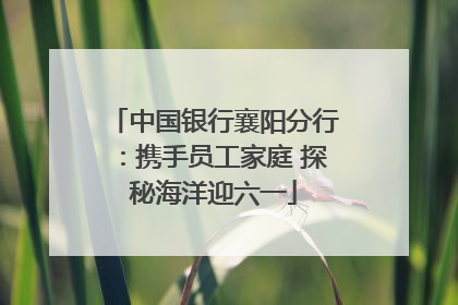 中国银行襄阳分行：携手员工家庭 探秘海洋迎六一