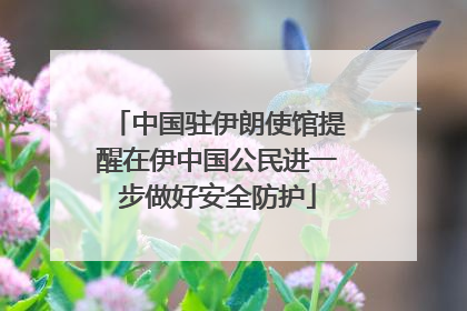 中国驻伊朗使馆提醒在伊中国公民进一步做好安全防护