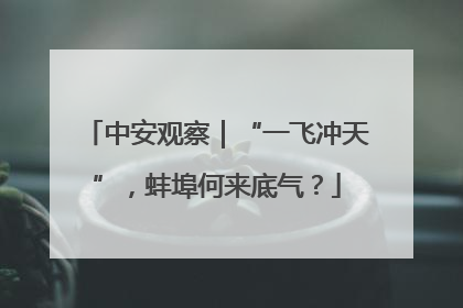 中安观察｜“一飞冲天”，蚌埠何来底气？