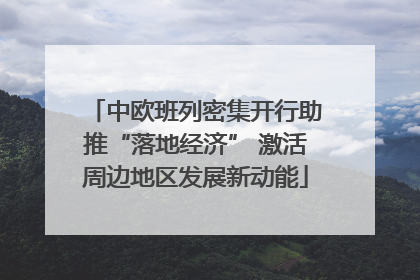 中欧班列密集开行助推“落地经济” 激活周边地区发展新动能
