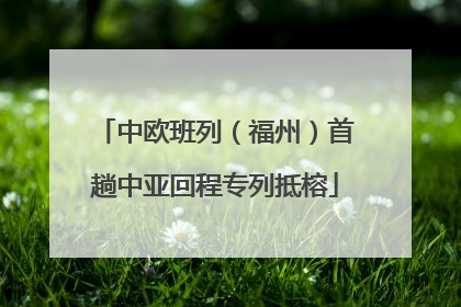 中欧班列（福州）首趟中亚回程专列抵榕