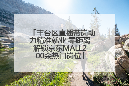 丰台区直播带岗助力精准就业 零距离解锁京东MALL200余热门岗位