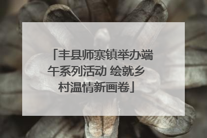 丰县师寨镇举办端午系列活动 绘就乡村温情新画卷