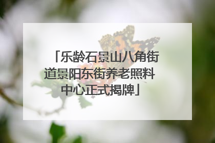 乐龄石景山八角街道景阳东街养老照料中心正式揭牌