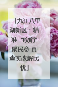 九江八里湖新区：精准“吹哨”聚民意 真查实改解民忧