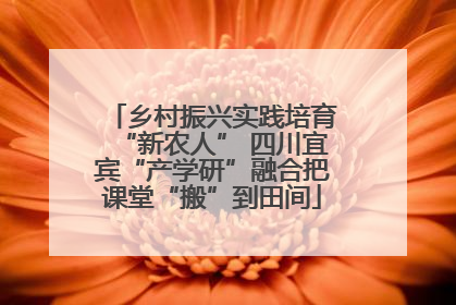 乡村振兴实践培育“新农人” 四川宜宾“产学研”融合把课堂“搬”到田间
