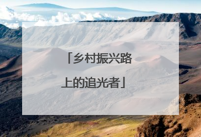 乡村振兴路上的追光者