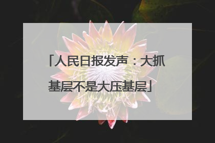 人民日报发声：大抓基层不是大压基层