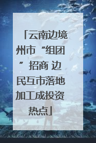 云南边境州市“组团”招商 边民互市落地加工成投资热点