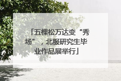 五棵松万达变“秀场”，北服研究生毕业作品展举行