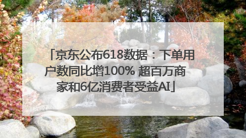 京东公布618数据：下单用户数同比增100% 超百万商家和6亿消费者受益AI