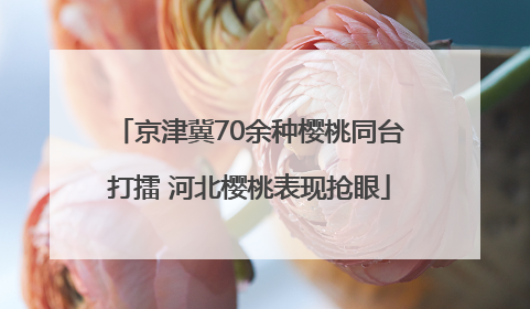 京津冀70余种樱桃同台打擂 河北樱桃表现抢眼