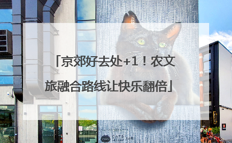 京郊好去处+1！农文旅融合路线让快乐翻倍