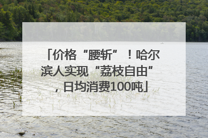 价格“腰斩”！哈尔滨人实现“荔枝自由”，日均消费100吨