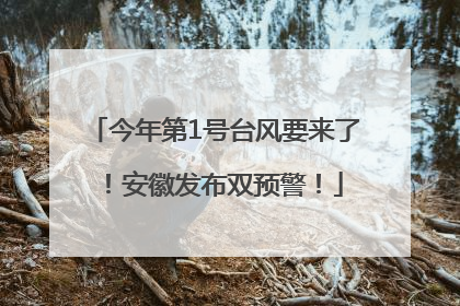 今年第1号台风要来了！安徽发布双预警！