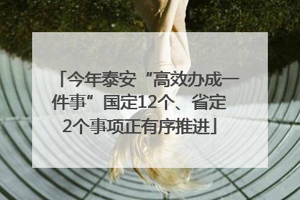 今年泰安“高效办成一件事”国定12个、省定2个事项正有序推进
