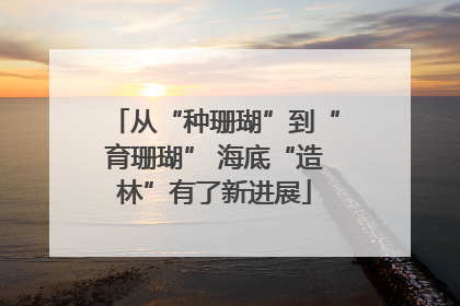 从“种珊瑚”到“育珊瑚” 海底“造林”有了新进展