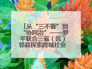 从“三不管”到“协同治”——罗平联合三省（区）邻县探索跨域社会治理新模式