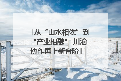 从“山水相依”到“产业相融” 川渝协作再上新台阶