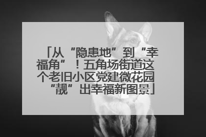 从“隐患地”到“幸福角”！五角场街道这个老旧小区党建微花园“靓”出幸福新图景