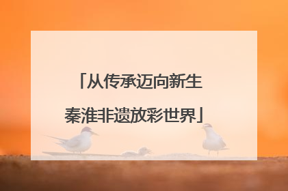从传承迈向新生 秦淮非遗放彩世界