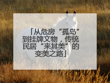 从危房“孤岛”到挂牌文物，传统民居“来其美”的变美之路