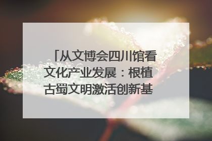 从文博会四川馆看文化产业发展：根植古蜀文明激活创新基因｜文博向“新”