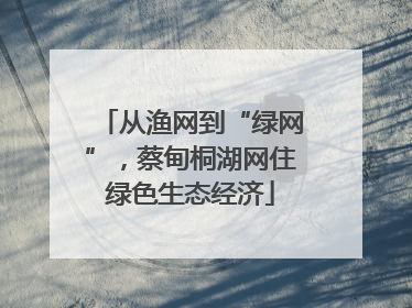 从渔网到“绿网”，蔡甸桐湖网住绿色生态经济