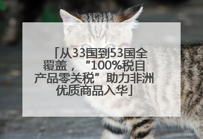从33国到53国全覆盖，“100%税目产品零关税”助力非洲优质商品入华