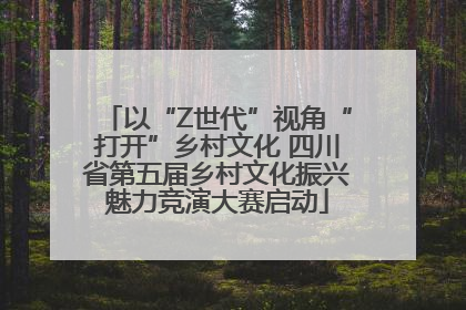 以“Z世代”视角“打开”乡村文化 四川省第五届乡村文化振兴魅力竞演大赛启动