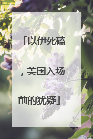 以伊死磕，美国入场前的犹疑