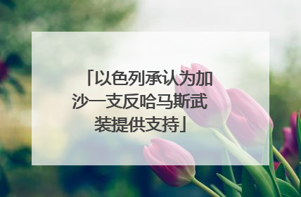 以色列承认为加沙一支反哈马斯武装提供支持