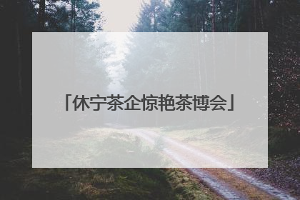休宁茶企惊艳茶博会