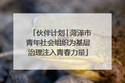 伙伴计划│菏泽市青年社会组织为基层治理注入青春力量