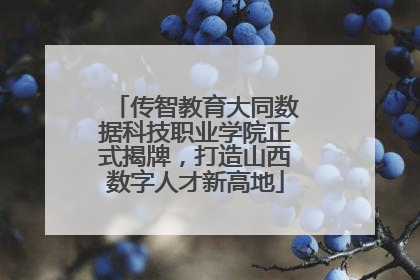 传智教育大同数据科技职业学院正式揭牌，打造山西数字人才新高地