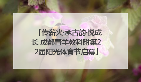 传薪火·承古韵·悦成长 成都青羊教科附第22届阳光体育节启幕
