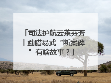 司法护航云茶芬芳丨勐腊易武“断案碑”有啥故事？