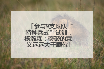 参与9支球队“特种兵式”试训，杨瀚森：突破的意义远远大于顺位