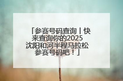 参赛号码查询丨快来查询你的2025沈阳和河半程马拉松参赛号码吧！
