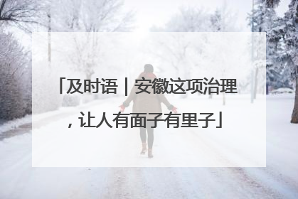 及时语｜安徽这项治理，让人有面子有里子