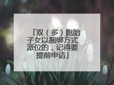 双（多）胞胎子女以捆绑方式派位的，记得要提前申请