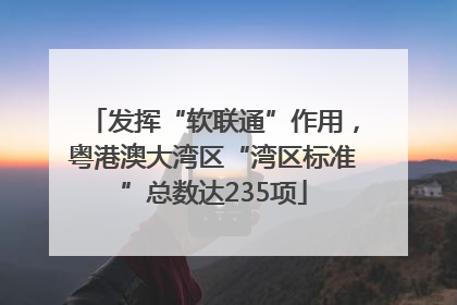 发挥“软联通”作用，粤港澳大湾区“湾区标准”总数达235项