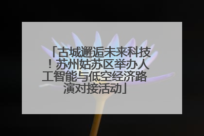古城邂逅未来科技！苏州姑苏区举办人工智能与低空经济路演对接活动