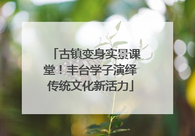 古镇变身实景课堂！丰台学子演绎传统文化新活力