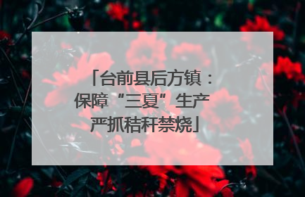 台前县后方镇：保障“三夏”生产 严抓秸秆禁烧