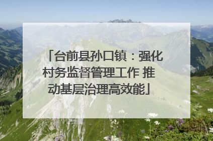 台前县孙口镇：强化村务监督管理工作 推动基层治理高效能